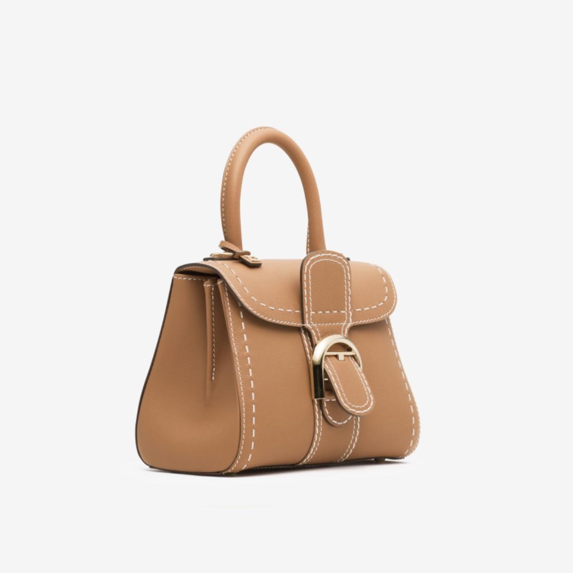 Delvaux Brillant Mini in Brown Calfskin Leather with Gold-Tone Hardware [Pre-Owned]